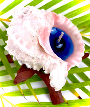Load image into Gallery viewer, Pink Murex Shell Candle