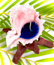 Load image into Gallery viewer, Pink Murex Shell Candle