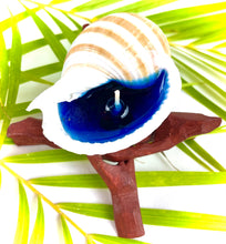 Load image into Gallery viewer, Striped Tonna Shell Candle
