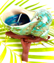 Load image into Gallery viewer, Polished Green Turbo Shell Candle