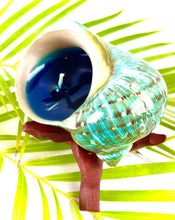 Load image into Gallery viewer, Polished Green Turbo Shell Candle