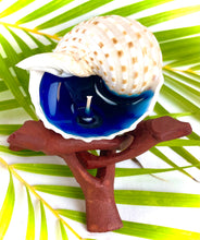 Load image into Gallery viewer, Spotted Tonna Shell Candle