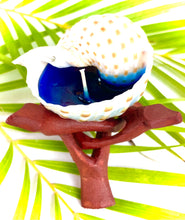 Load image into Gallery viewer, Spotted Tonna Shell Candle