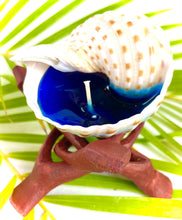 Load image into Gallery viewer, Spotted Tonna Shell Candle