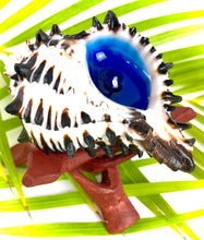 Load image into Gallery viewer, black murex shell candle, plumeria candle