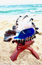 Load image into Gallery viewer, black murex shell candle, plumeria candle