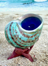 Load image into Gallery viewer, Polished Green Turbo Shell Candle