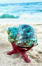 Load image into Gallery viewer, Polished Green Turbo Shell Candle