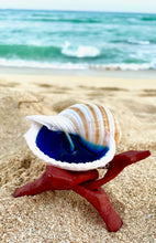 Load image into Gallery viewer, Striped Tonna Shell Candle