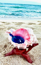 Load image into Gallery viewer, Pink Murex Shell Candle