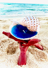 Load image into Gallery viewer, Spotted Tonna Shell Candle