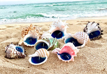 Load image into Gallery viewer, Striped Tonna Shell Candle