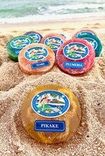 Load image into Gallery viewer, Pikake Loofah Soap Body Scrub