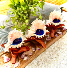 Load image into Gallery viewer, Pink Murex Shell Candle