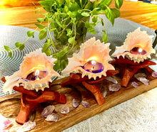 Load image into Gallery viewer, Pink Murex Shell Candle
