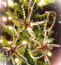 Load image into Gallery viewer, Double Starfish Ornament/Wine Bottle Charm
