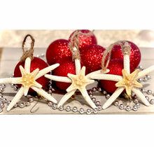Load image into Gallery viewer, starfish ornament
