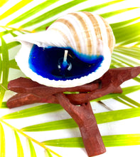 Load image into Gallery viewer, Striped Tonna Shell Candle
