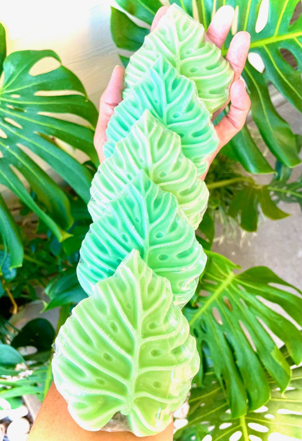 Monstera Leaf Aloha / Kids Soaps